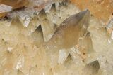 Dogtooth Calcite Crystals with Phantoms - Morocco #222927-5